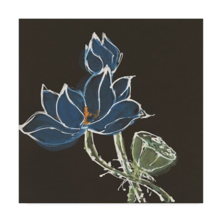 Trademark Fine Art Chris Paschke 'Lotus On Black Vii' Canvas Art, 18x18 WAP05756-C1818GG